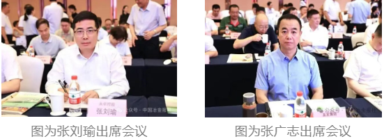 d91bc41b-ef15-4fbd-8a14-a7a4704fae1e.png